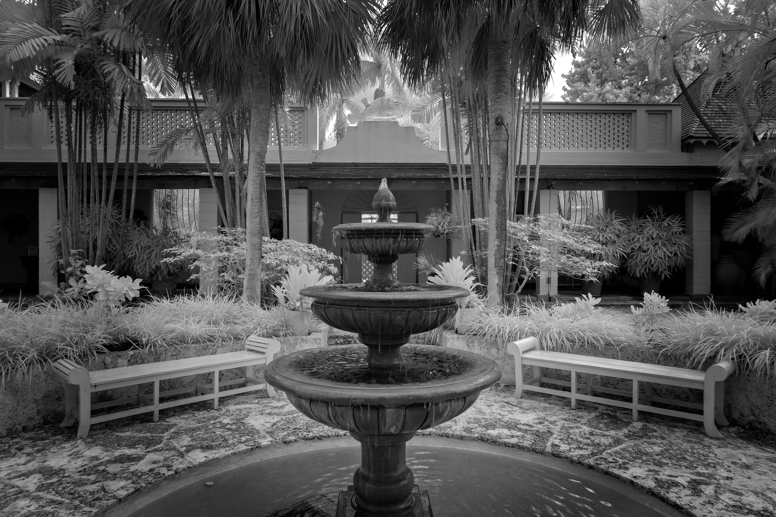 Bonnet House Fountain Peter J Nolan Photography Fort Lauderdale Fl